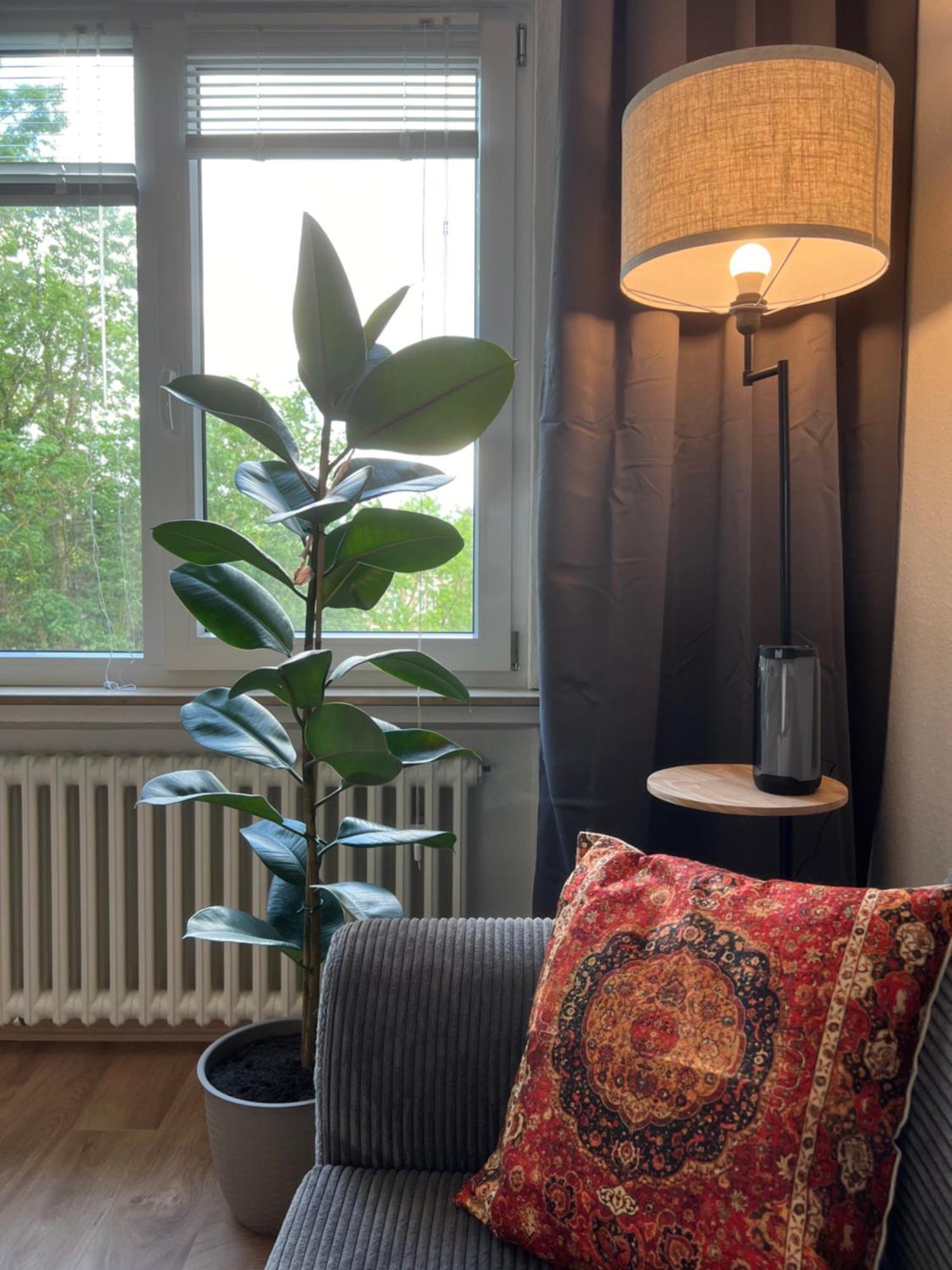 Up Wuljke19 Neu Renovierte Unterkunft Inkl.Pkw Stellplatz Emden Ngoại thất bức ảnh